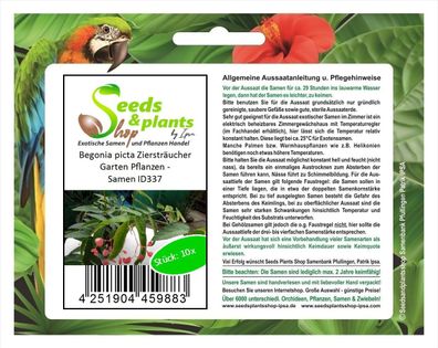 10x Begonia picta Ziersträucher Garten Pflanzen - Samen ID337