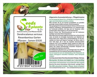 15x Dendrocalamus sericeus Riesenbambus Garten Pflanzen - Samen ID320
