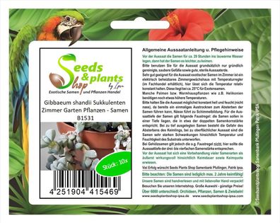 10x Gibbaeum shandii Sukkulenten Zimmer Garten Pflanzen - Samen B1531