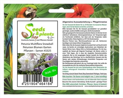 30x Petunia Multiflora Snowball Petunien Blumen Garten Pflanzen - Samen KS325
