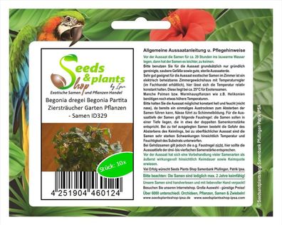 10x Begonia dregei Begonia Partita Ziersträucher Garten Pflanzen - Samen ID329