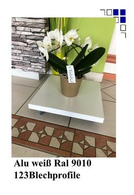 Pflanzenroller Trendline-V200W bis 200kg Deckplatte aus Alu weiß Ral9010