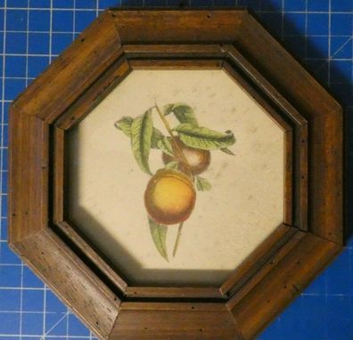 Kunstdruck Apfelsine Pomeranze Clementine 17x17cm H-17798