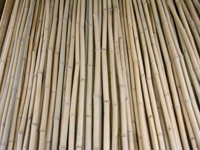 Bambusrohr Bambusstange Bambushalm Bambus Bambusrohre 50 x 1-2 x 2 m / 10 - 20