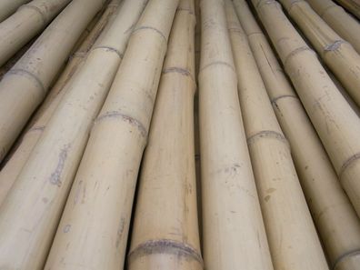 Bambusrohr Bambusstange Bambushalm Bambus Bambusrohre 10 x 4-5 x 4 m / 40-50 mm