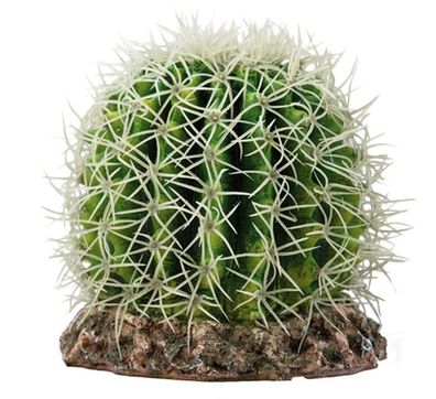 Hobby Pflanze Kaktus Sonora M 15 x 15 x 13 cm,