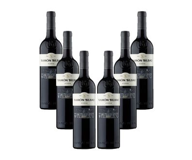 Ramon Bilbao Reserva 6er Set Rotwein 0,75L (14% Vol) Spanien Noten von Holz und