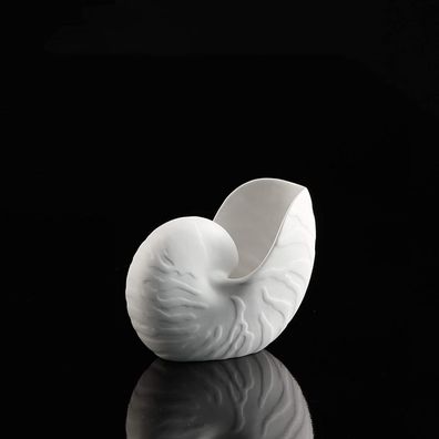 Goebel Kaiser Porzellan Conch Vase 15 cm - Conch Neuheit 2020 14004901