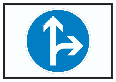 Schild Fahrtrichtung geradeaus oder rechts Symbol