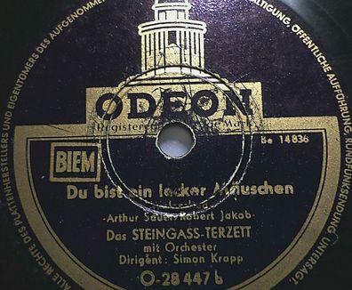 Steingass-Terzett "Du bist ein lecker Mäuschen / Im alten Fährhaus" Odeon 78rpm