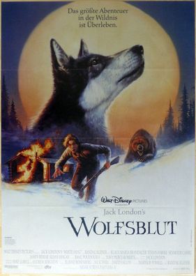 Walt Disney´s: Wolfsblut - Original Kinoplakat A1 - Ethan Hawke - Filmposter