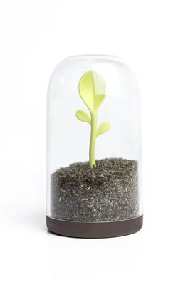 Vorratsdose mit Löffel Sprout Jar Qualy transparent Kaffeedose Dose Behälter