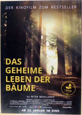 Das Geheime Leben der Bäume - Original Kinoplakat A1 - Peter Wohlleben - Filmposter
