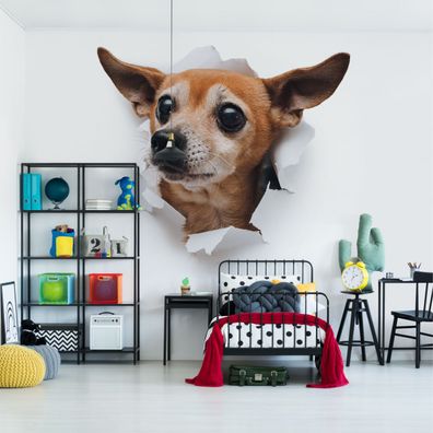 Muralo VINYL Fototapete XXL TAPETE für Kinder Kleiner Hund Chihuahua 3D 3368