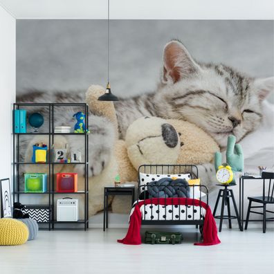 Muralo VINYL Fototapete XXL TAPETE für Kinder Reizvolles Kätzchen PLüSCH 3414