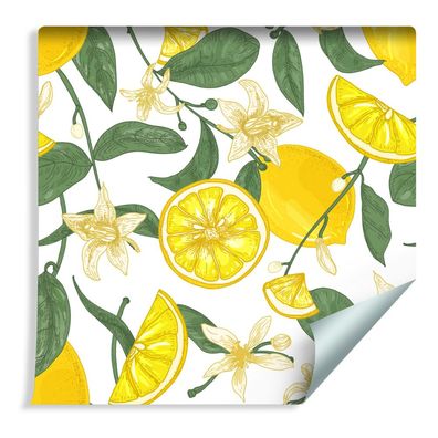VLIES TAPETE Designtapete Kueche Obst Zitronen Pflanzen Blumen Blaetter XXL 469