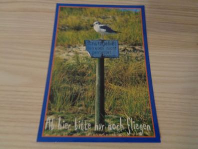 5761 Postkarte, Ansichtskarte- Schutzgebiet, Scherzkarte, Ostsee