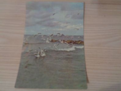 5817 Postkarte, Ansichtskarte - An der Ostsee