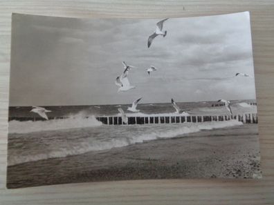 5862 Postkarte, Ansichtskarte -An der Ostsee