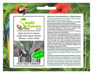 10x Agave atrovirens Oaxaca Jungle Giant Agaven Garten Pflanzen - Samen ID658