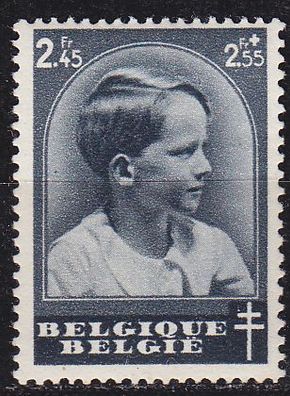 Belgien Belgium [1936] MiNr 0441 ( * / mh )