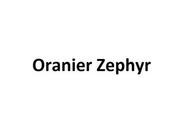 Pelletofen Oranier Zephyr Stahl Schwarz 6 kW mit externer Zuluft [EEK: A + ]