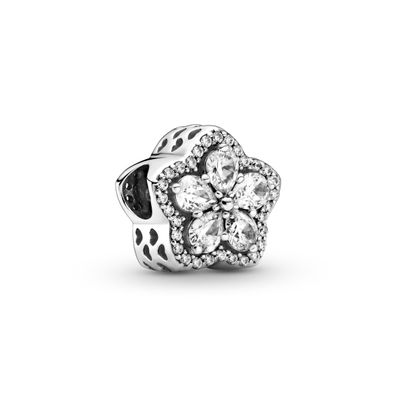 Charm Pandora 799224C01