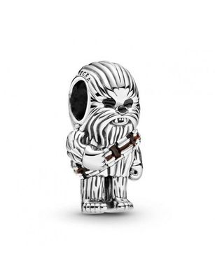 Charm Fossil 799250C01