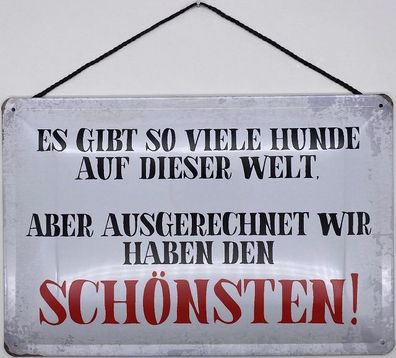 Blechschild mit Kordel 30 x 20 cm Es gibt so viele Hunde auf dieser Welt, aber