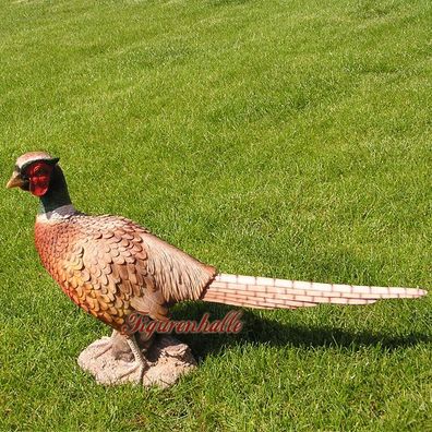 Fasan Vogel Dekoration Figur Jagd Jäger Trophäe Deko Objekt Skulptur Statue