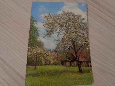 6149 Postkarte, Ansichtskarte - Pfingstkarte, Landschaftskarte