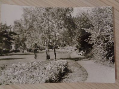 6152 Postkarte, Ansichtskarte - Saalfeld -Im Dürerpark