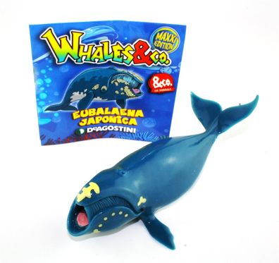 DeAgostini Whales & Co. Maxxi Edition - Figur (12. Pazifischer Nordkaper)