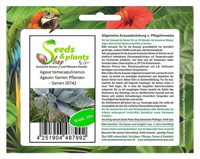 10x Agave temacapulinensis Agaven Garten Pflanzen - Samen ID742