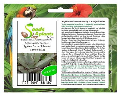 10x Agave quiotepecensis Agaven Garten Pflanzen - Samen ID723