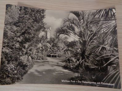 6225 Postkarte, Ansichtskarte Wörlitzer Park -Der Palmengarten