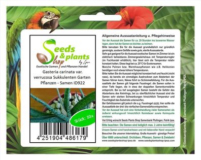 10x Gasteria carinata var. verrucosa Sukkulenten Garten Pflanzen - Samen ID922