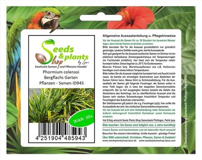 10x Phormium colensoi Bergflachs Garten Pflanzen - Samen ID945
