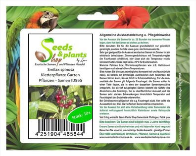 10x Smilax spinosa Kletterpflanze Garten Pflanzen - Samen ID955