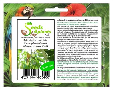 10x Aristolochia constricta Kletterpflanze Garten Pflanzen - Samen ID998