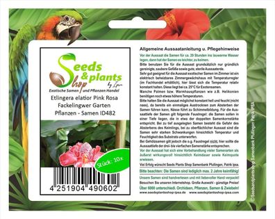 10x Etlingera elatior Pink Rosa Fackelingwer Garten Pflanzen - Samen ID482