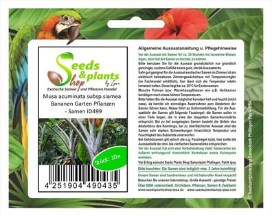 10x Musa acuminata subsp. siamea Bananen Garten Pflanzen - Samen ID499