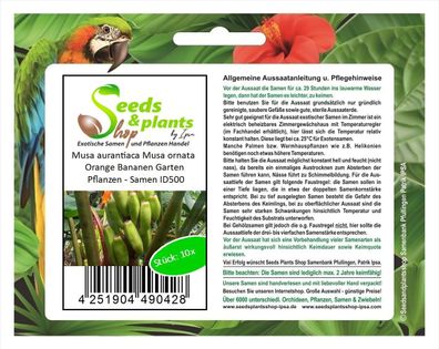 10x Musa aurantiaca (Musa ornata Orange) Bananen Garten Pflanzen - Samen ID500