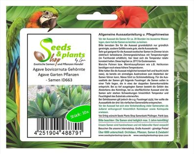 10x Agave bovicornuta Gehörnte Agave Garten Pflanzen - Samen ID663