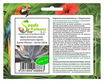 10x Agave americana subsp. protoamericana Agaven Garten Pflanzen - Samen ID654