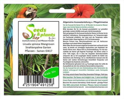 10x Licuala spinosa Mangroven Strahlenpalme Garten Pflanzen - Samen ID417
