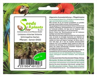 5x Livistona victoriae Victoria Schirmpalme Garten Pflanzen - Samen ID420