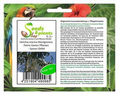 10x Veitchia arecina Montgomery Palme Garten Pflanzen - Samen ID444