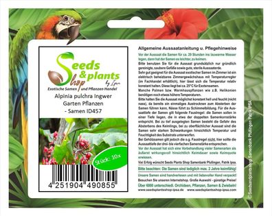 10x Alpinia pulchra Ingwer Garten Pflanzen - Samen ID457