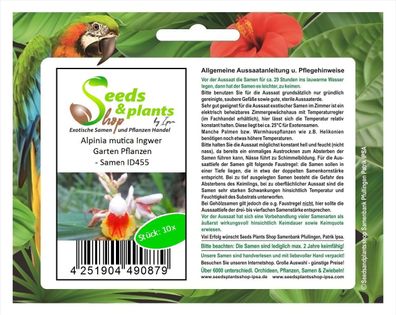 10x Alpinia mutica Ingwer Garten Pflanzen - Samen ID455
